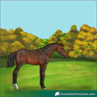 Horse Color:Brown 