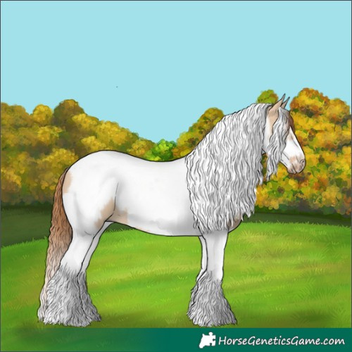 Horse Color:Red Dun Tobiano Frame 