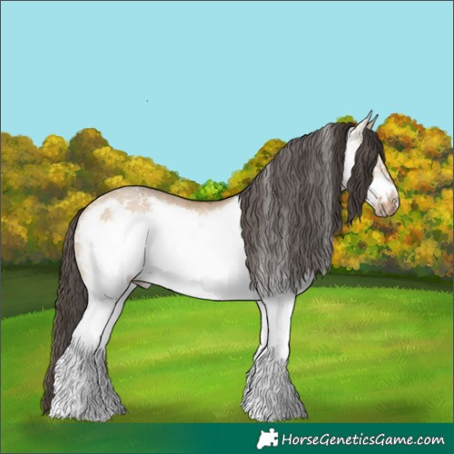 Horse Color:White Spotted Bay Dun Frame Rabicano 