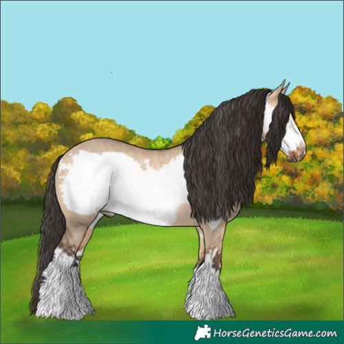 Horse Color:White Spotted Bay Dun Frame Rabicano 