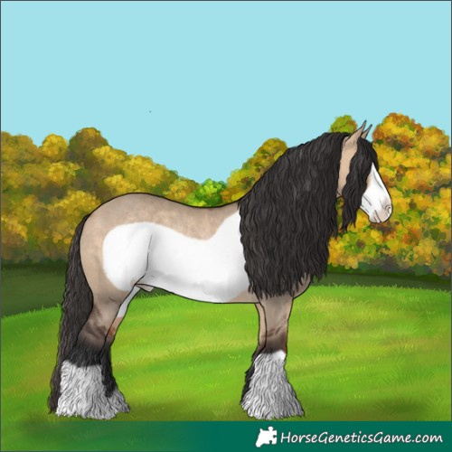 Horse Color:Bay Dun Frame Rabicano 