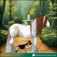 Horse Color:White Spotted Red Dun Tobiano Rabicano