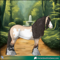 Horse Color:Bay Dun Frame Rabicano 
