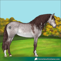 Horse Color:Platinum Chocolate Brown Dun 