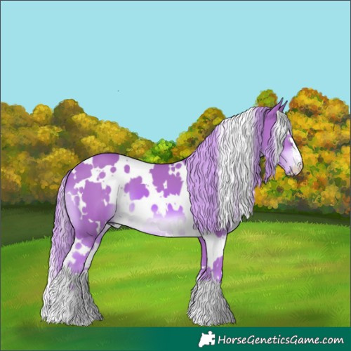 Horse Color:Watercolor White Spotted Chestnut 