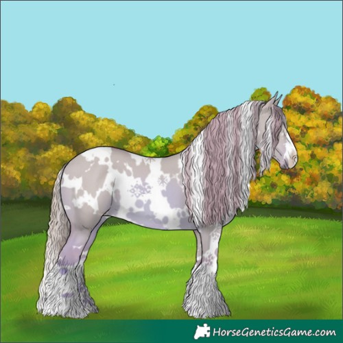Horse Color:Watercolor White Spotted Red Dun 
