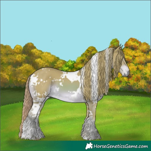 Horse Color:Watercolor White Spotted Chestnut 