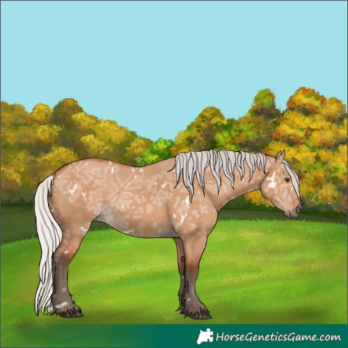 Horse Color:White Spotted Silver Bay Ice Dun 