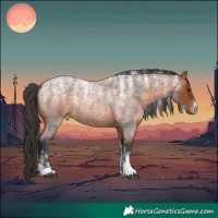 Horse Color:Powder White Bay Roan 
