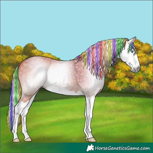 Horse Color:Gray Painted Watercolor Chestnut Splash 