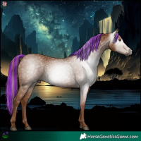 Horse Color:Gray Painted Chestnut 