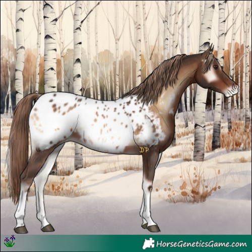Horse Color:Liver Red Onyx Tobiano Near Leopard 