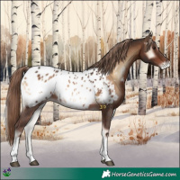 Horse Color:Liver Red Onyx Tobiano Appaloosa 