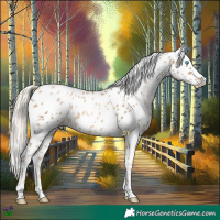 Horse Color:Chocolate Palomino Pearl Mushroom Appaloosa 