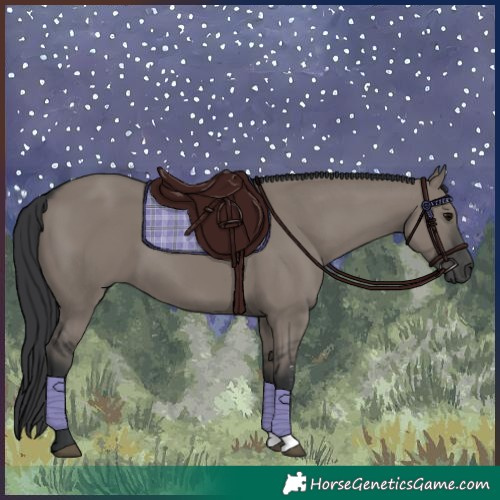 Horse Color:Grullo Sabino Rabicano