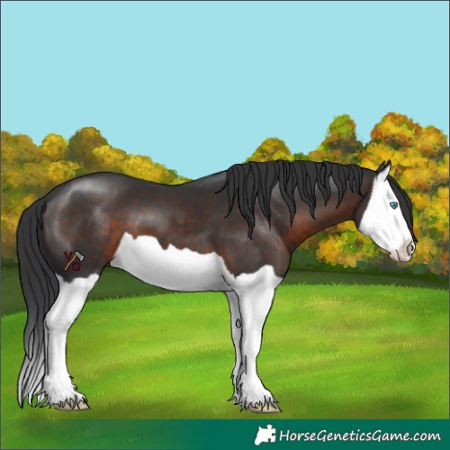 Horse Color:Brown Splash 