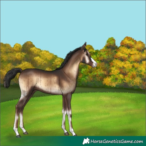 Horse Color:Liver Red Onyx Brindle 