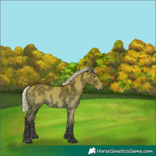 Horse Color:Silver Buckskin Ice Dun 