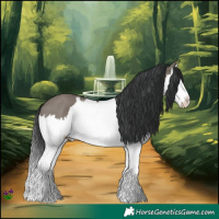 Horse Color:White Spotted Grullo Splash 