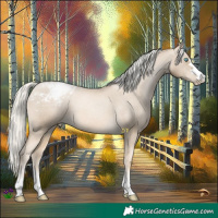 Horse Color:Chocolate Palomino Pearl Mushroom Appaloosa 