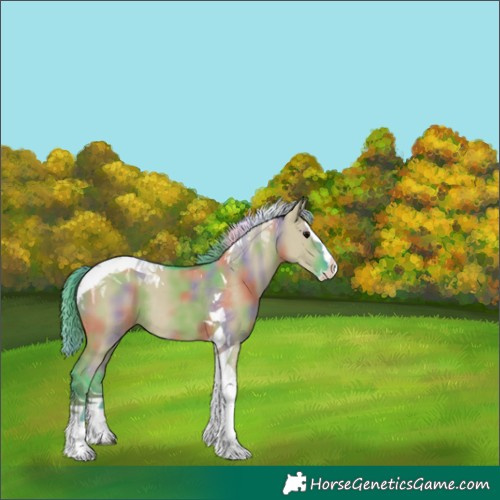 Horse Color:Nacre Watercolor Grullo Splash Tobiano Rabicano 