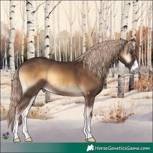 Horse Color:Chocolate Palomino Onyx 