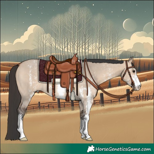 Horse Color:Bay Dun Sabino 