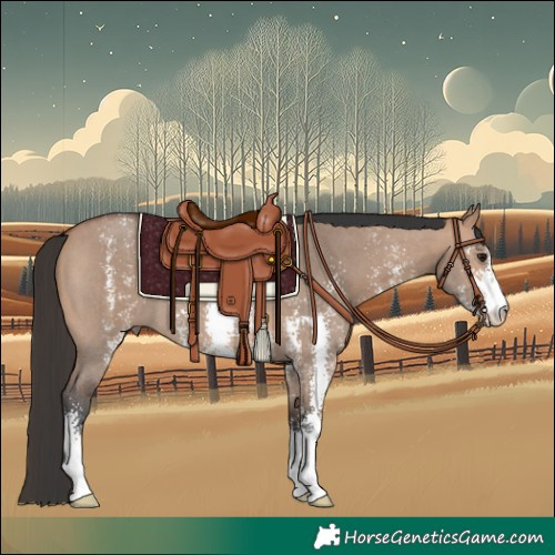 Horse Color:Bay Dun Sabino 