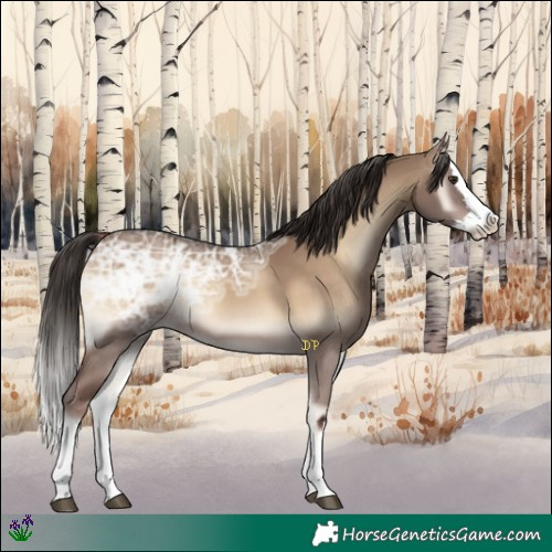 Horse Color:Liver Red Dun Ice Onyx Splash 