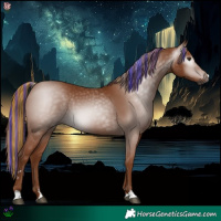 Horse Color:Gray Painted Chestnut 