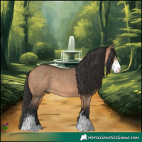 Horse Color:Bay Dun Sabino Rabicano 