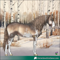 Horse Color:Liver Red Onyx Sabino