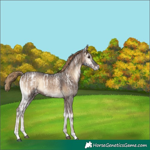 Horse Color:Liver Red Onyx Ice 
