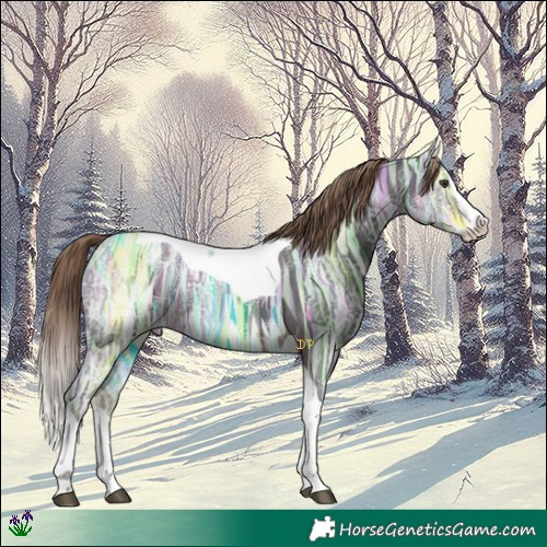 Horse Color:Liver Chestnut Ice Splash Tobiano 