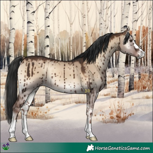 Horse Color:Liver Red Dun Onyx Brindle