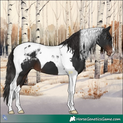 Horse Color:Liver Chestnut Tobiano Varnish 