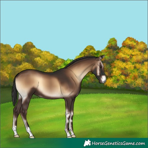 Horse Color:Liver Red Onyx 