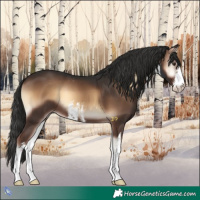 Horse Color:White Spotted Liver Red Onyx Appaloosa 