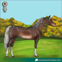 Horse Color:Silver Brown Tobiano Varnish 