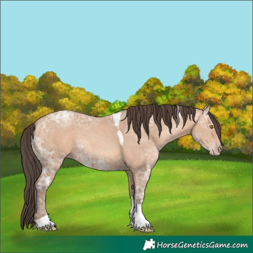 Horse Color:White Spotted Amber Champagne Ice Tobiano 