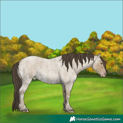 Horse Color:White Spotted Classic Cream Champagne Ice Roan 