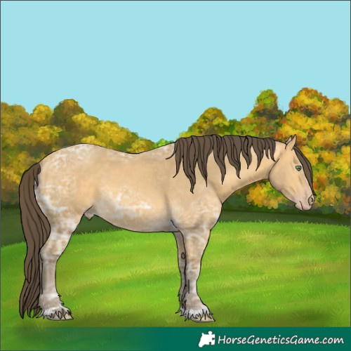 Horse Color:Sable Cream Champagne Ice 