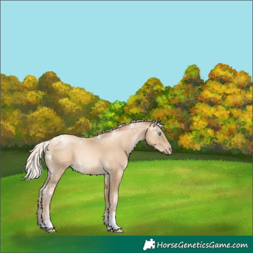 Horse Color:Gray Silver Classic Cream Champagne Ice Pearl Tobiano 