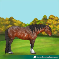 Horse Color:Brown Ice Tobiano 