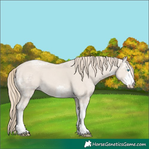 Horse Color:White Spotted Smoky Creme Ice 