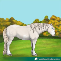 Horse Color:White Spotted Smoky Creme Ice 