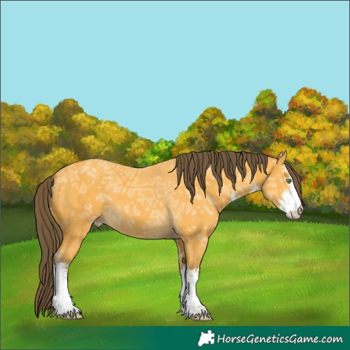 Horse Color:White Spotted Amber Cream Champagne Ice 
