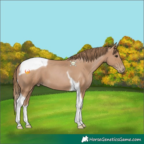 Horse Color:Black Pearl Tobiano 
