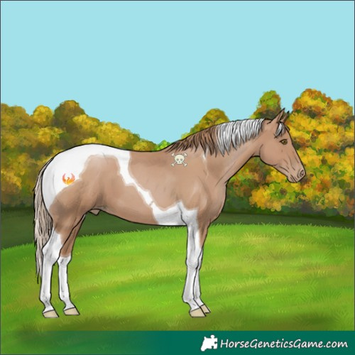 Horse Color:Black Pearl Tobiano 