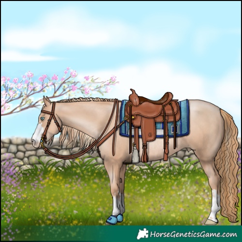 Horse Color:Gold Champagne Pearl Rabicano and Gold Champagne Pearl Rabicano